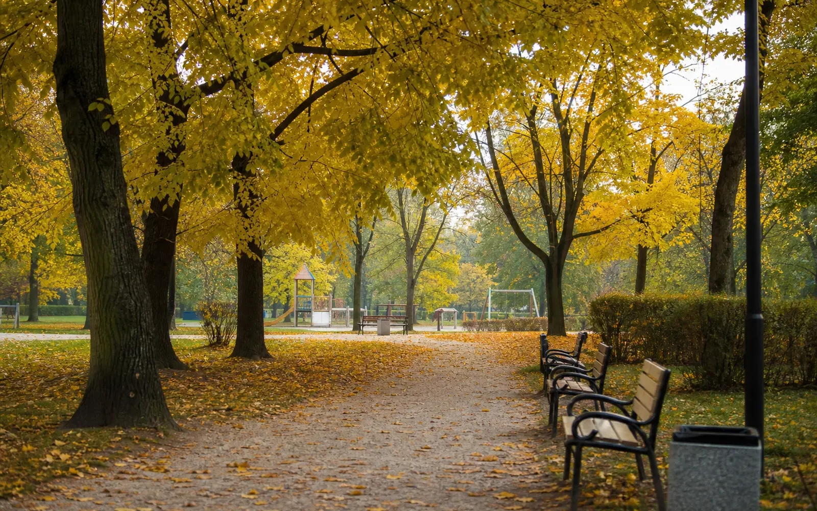 Park Suble w Tychach: alejki, place zabaw, piknik i co tam zastaniesz