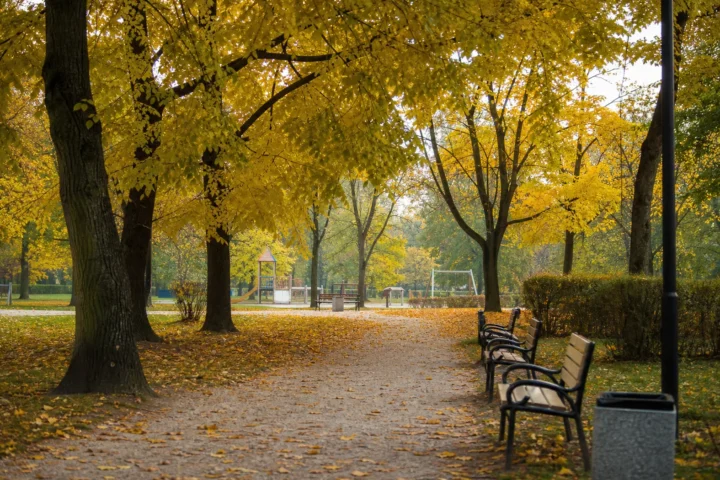 Park Suble w Tychach: alejki, place zabaw, piknik i co tam zastaniesz