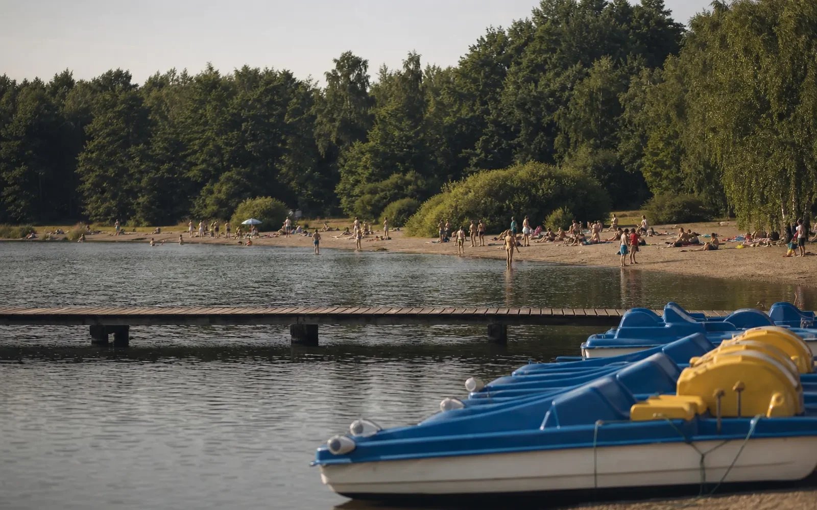 Paprocany cennik — wypożyczalnia, parking, sezon plażowy