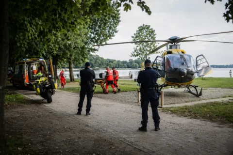 Pięciolatek użądlony w podniebienie w Paprocanach – akcja służb